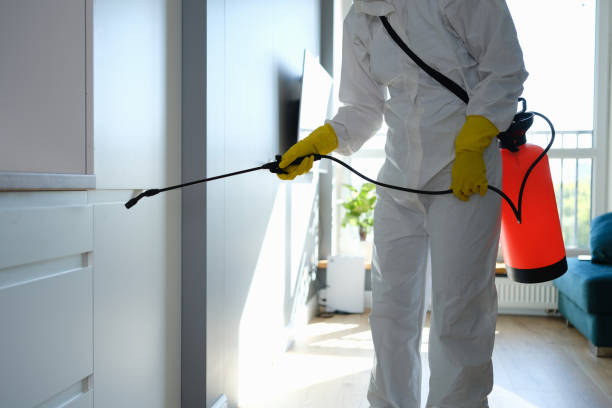 Best Industrial Mold Remediation in Mesita, NM